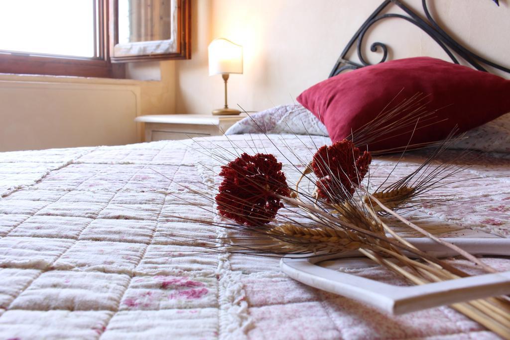 Farm stay Casavecchia *