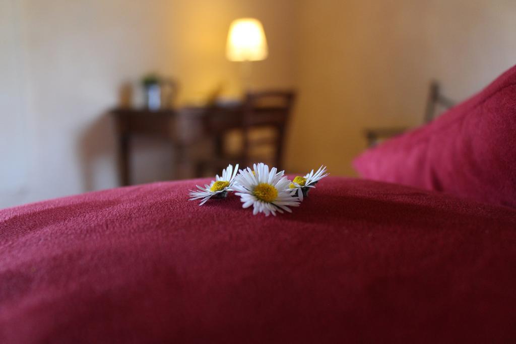 Farm stay Casavecchia *